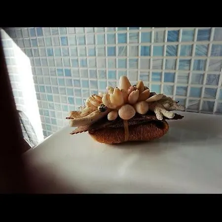 Appartamento Raffaella